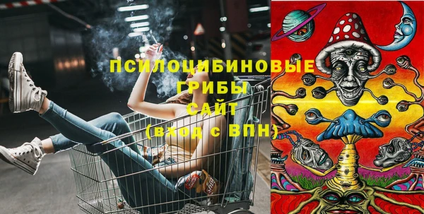 трава Надым