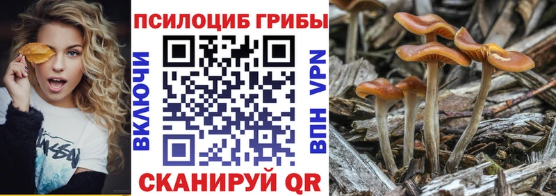 darknet состав  Обь  Псилоцибиновые грибы ЛСД  кракен как зайти 