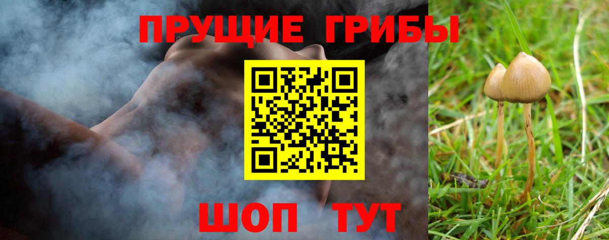 Обь  Галлюциногенные грибы прущие грибы  Вход с VPN 